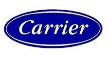 Carrier logo: Blue oval with white text 