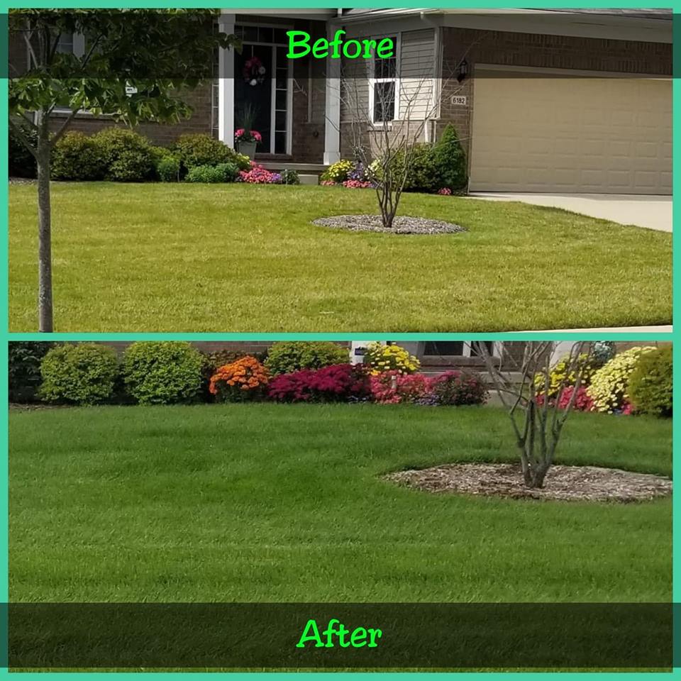 Forest Green Lawn Services Photo Gallery Ortonville, MI