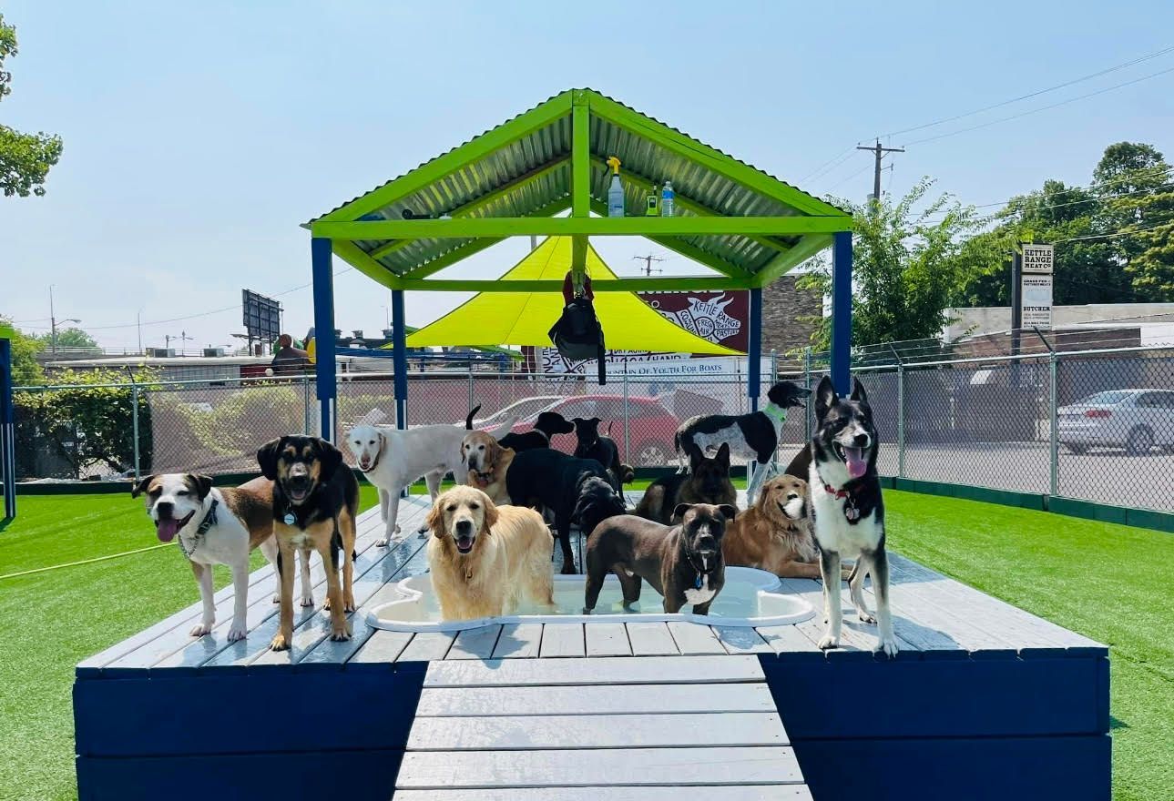 Doggie Daycare Milwaukee, WI