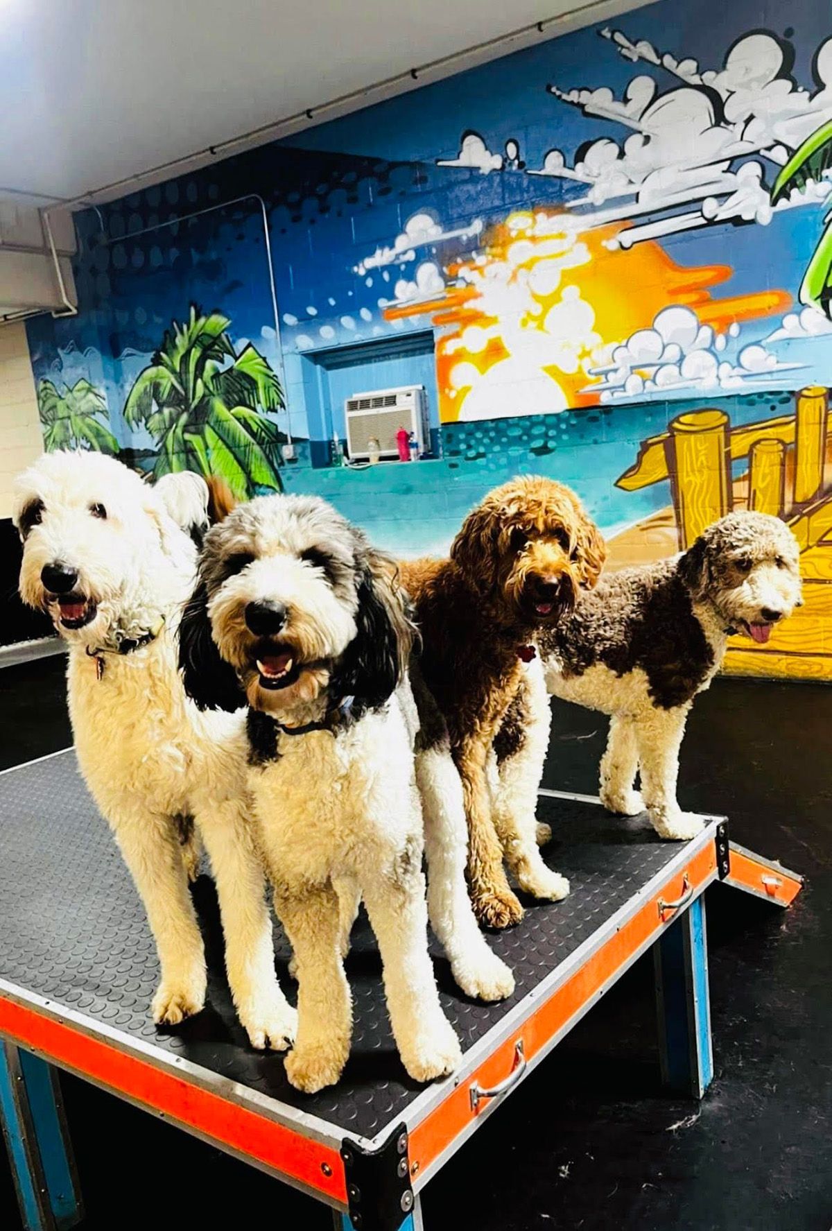 Milwaukee Gallery Happy Paws Grooming & Daycare