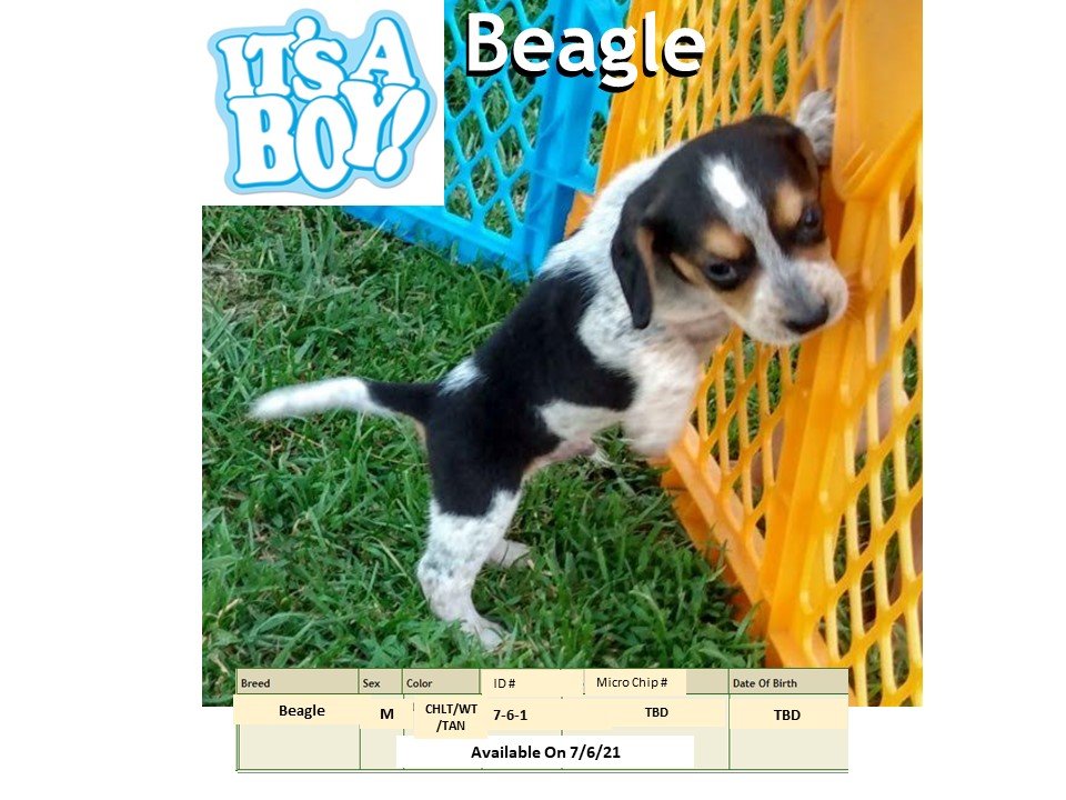 The Pet Shoppe Pet Store Middletown, NJ