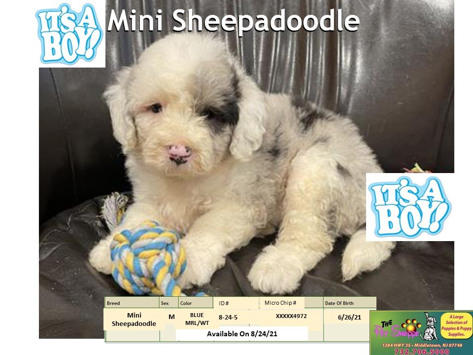 The Pet Shoppe Pet Store Middletown, NJ