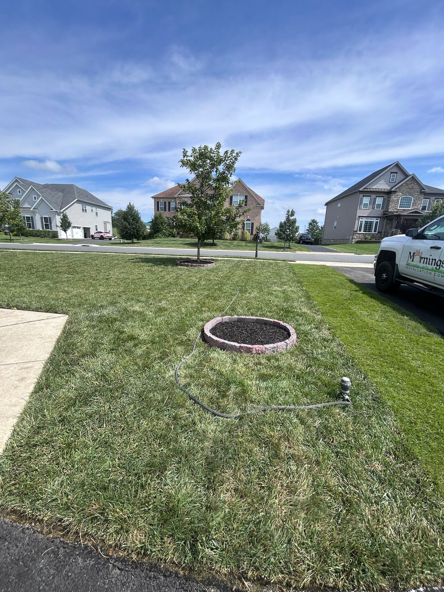 A grassy residential lawn with a circular mulch bed, a young tree, and suburban houses under a blue sky.