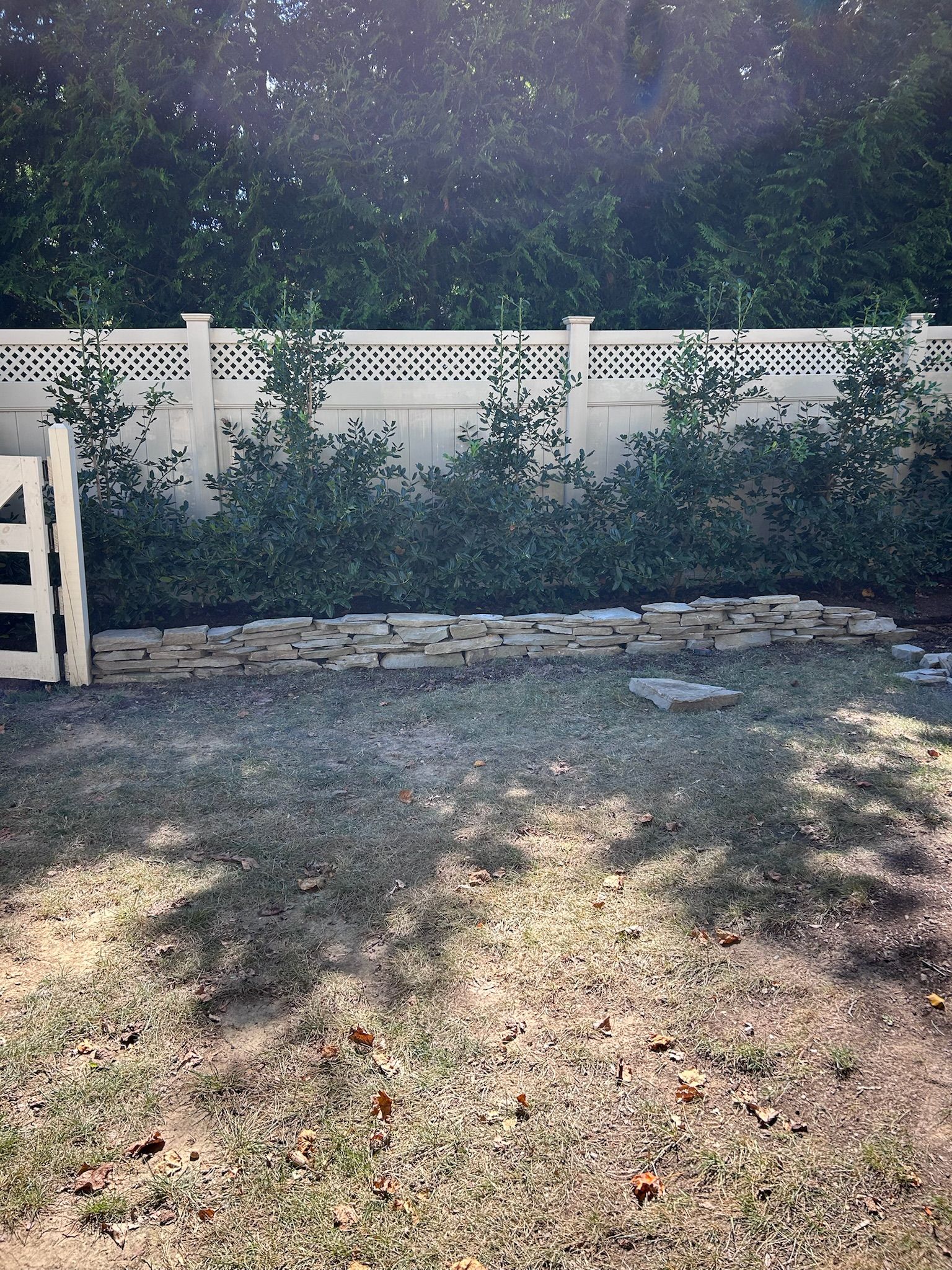 A white lattice-top fence borders a garden bed with small shrubs, a stone retaining wall, and a patchy dirt yard.