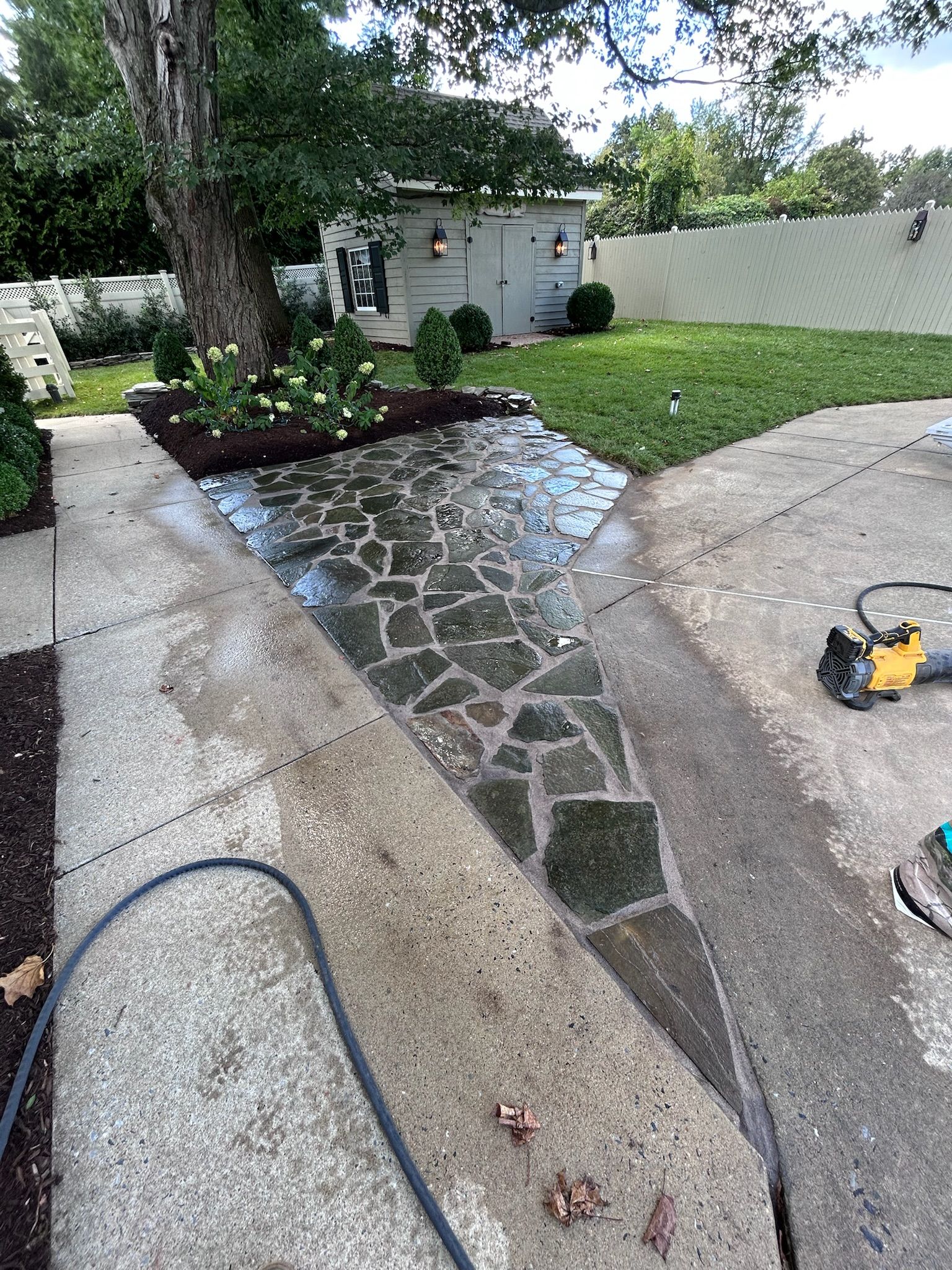 A triangular stone pathway transition between sections of a concrete patio in a backyard garden.