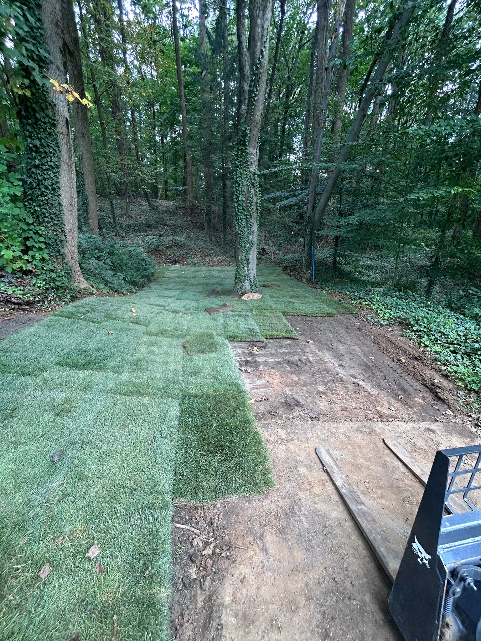 Sod pieces being laid on bare soil in a wooded area next to a forklift attachment.