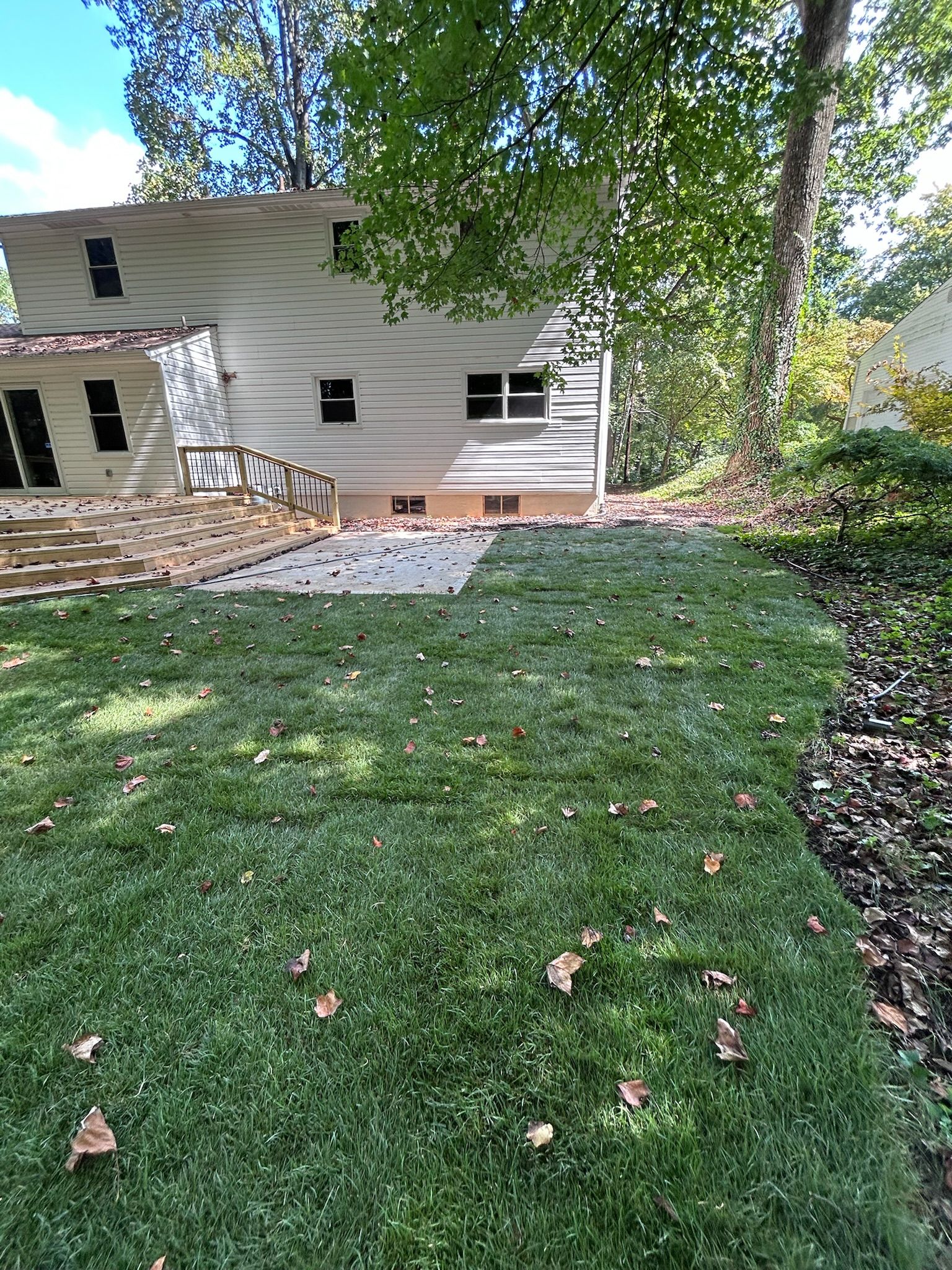A grassy backyard with a white, two-story house, a stone patio area, and scattered fallen leaves under a large tree.
