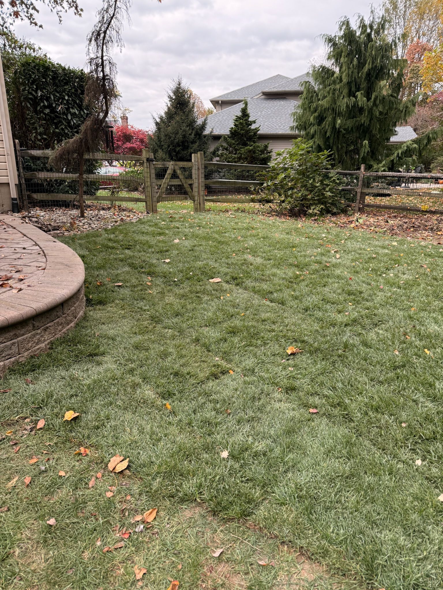 A backyard lawn with a stone patio edge, a wooden fence, evergreen trees, and a house in the distance under a cloudy sky.