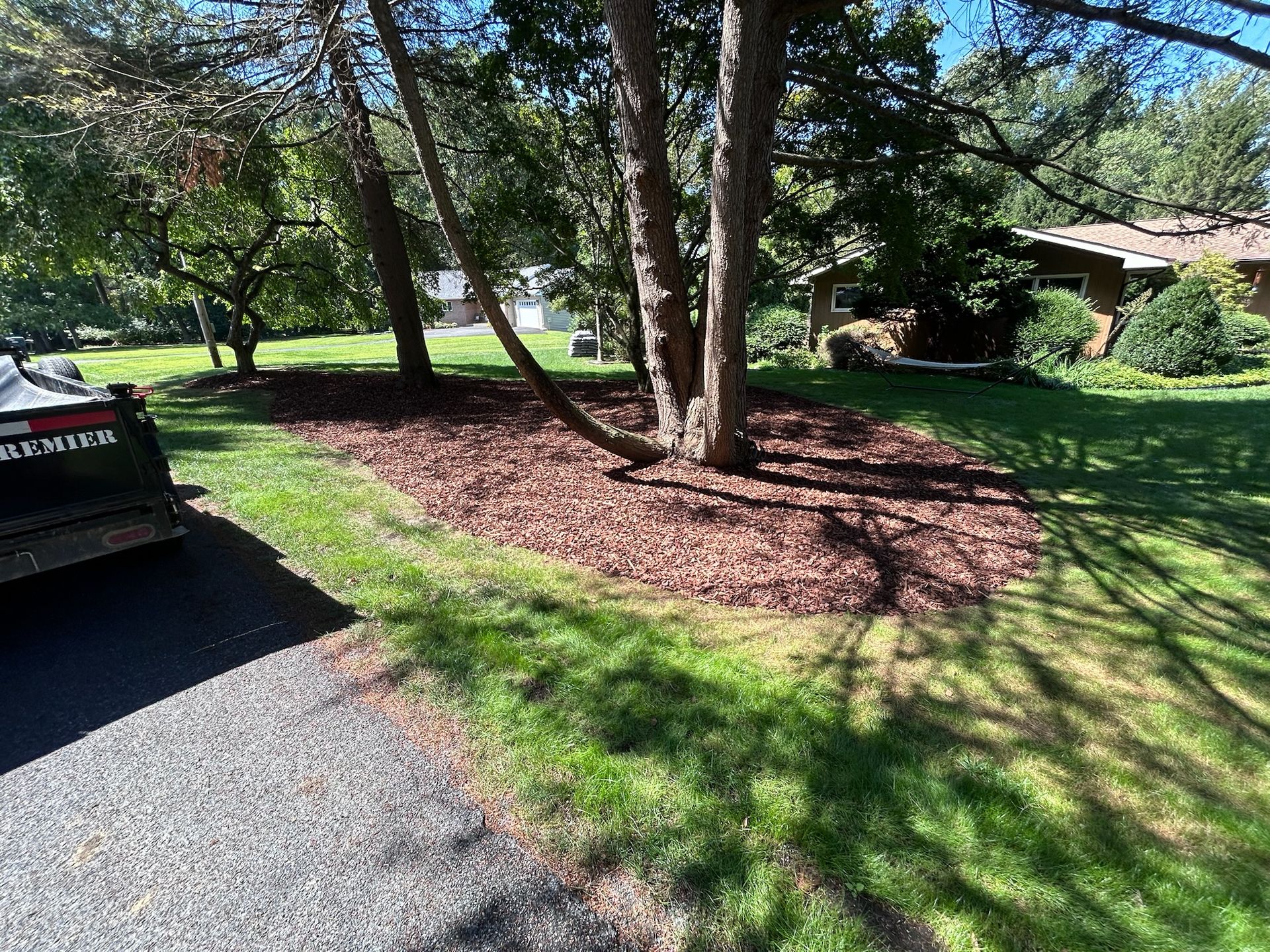 A dark mulch bed surrounds the base of several large trees in a sunny residential front yard near a gravel driveway.