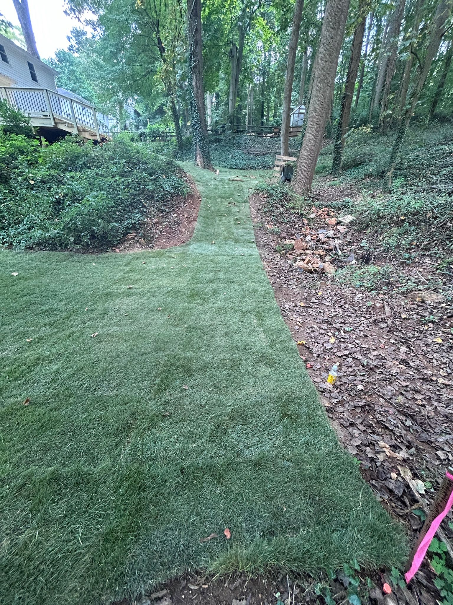 A newly laid strip of green sod forms a path through a wooded yard bordered by dark mulch and ivy.