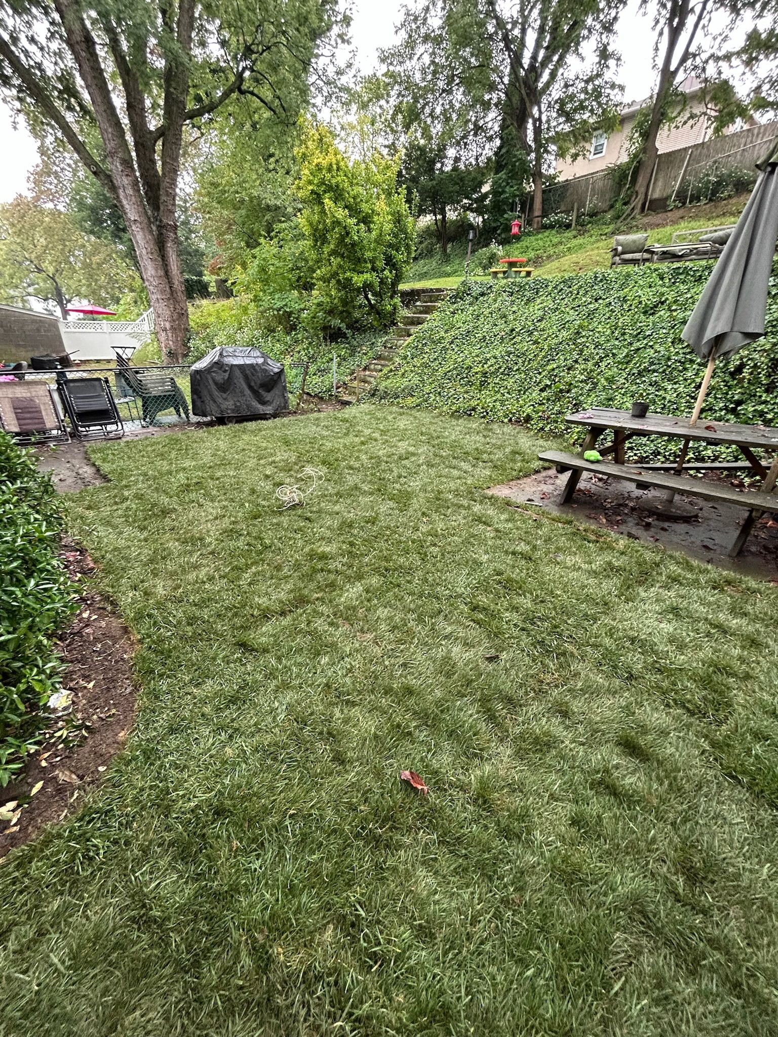 A backyard lawn covered in a layer of hail, with a patio table, chairs, and a grill visible in the background.