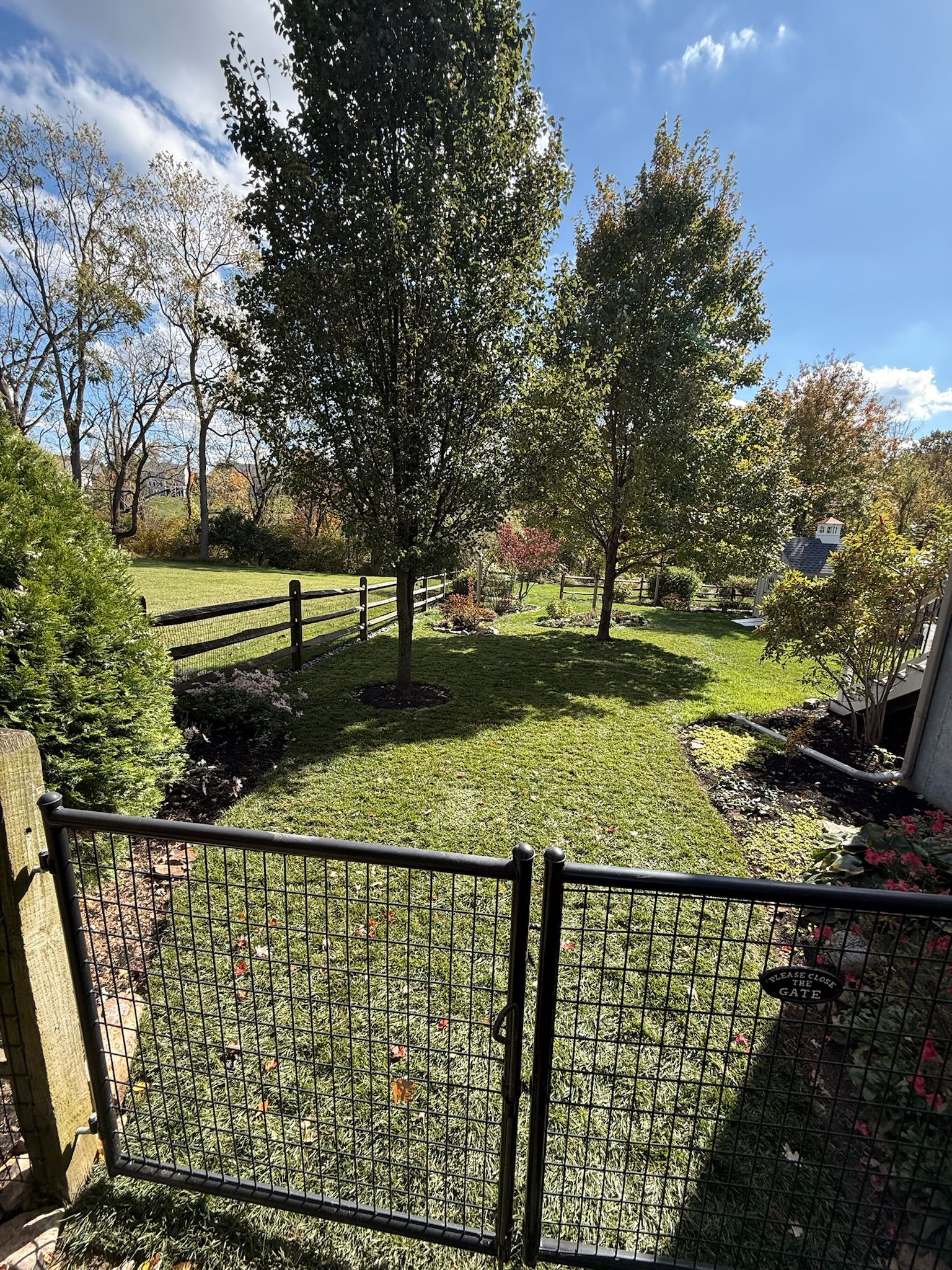 A black metal gate opens to a sunny, green lawn with two tall trees and a wooden fence under a blue sky.