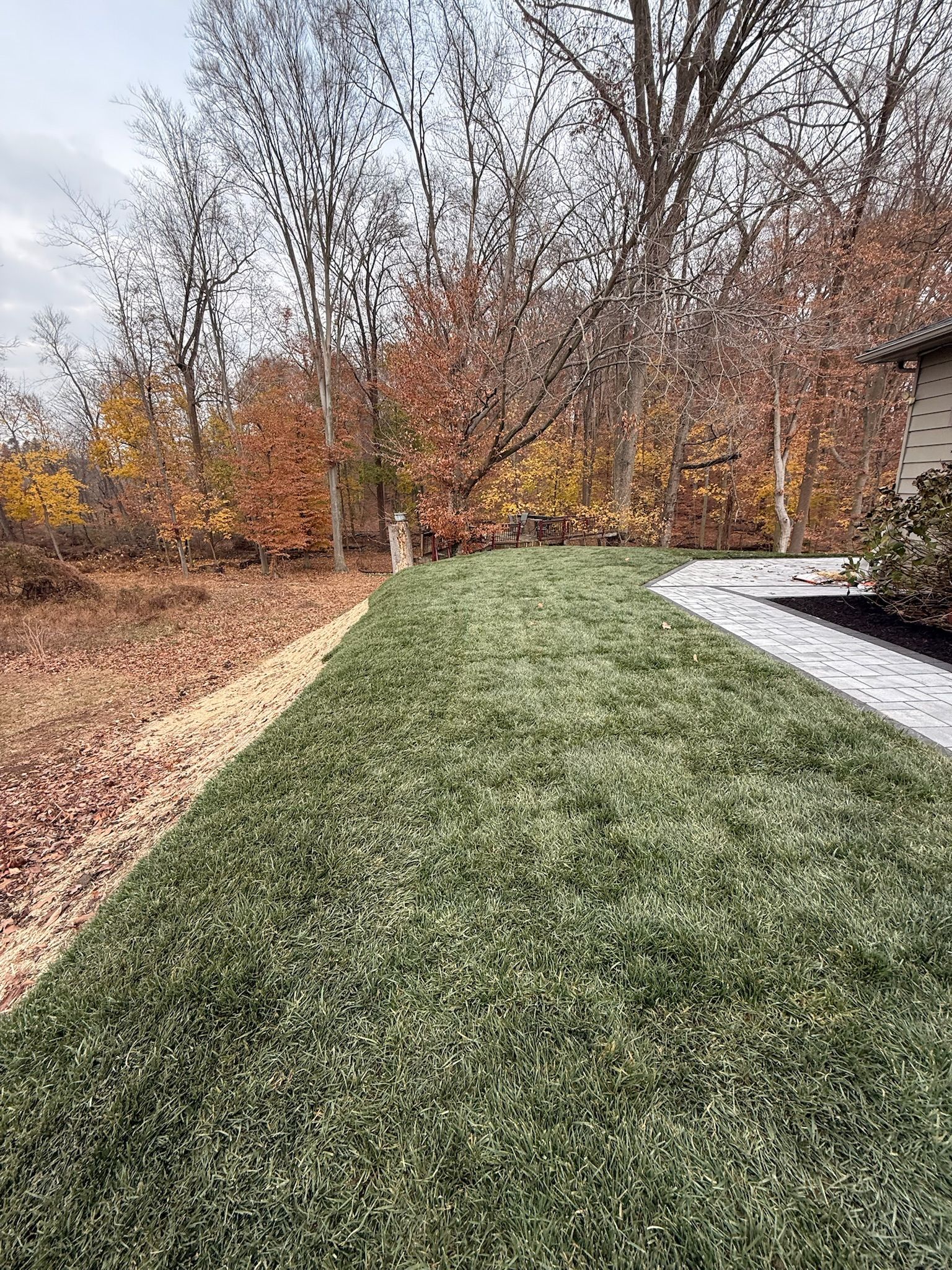 A patch of green grass bordered by a stone walkway on the right and a line of fallen autumn leaves on the left.