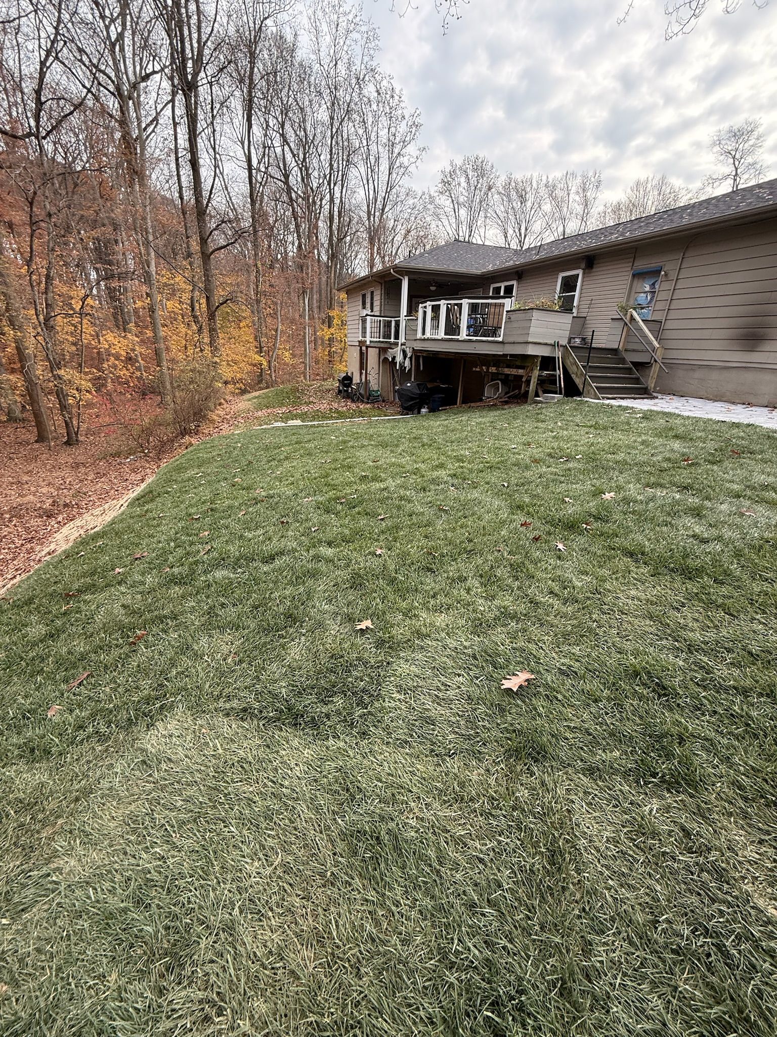 A house with a raised wooden deck overlooks a grassy backyard adjacent to a wooded area with fall foliage.