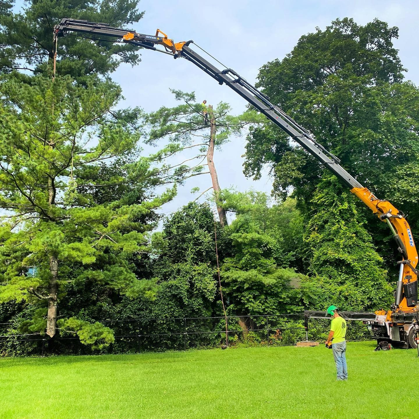 A worker in a yellow high-visibility shirt operates a large yellow crane to remove a tree in a grassy yard.
