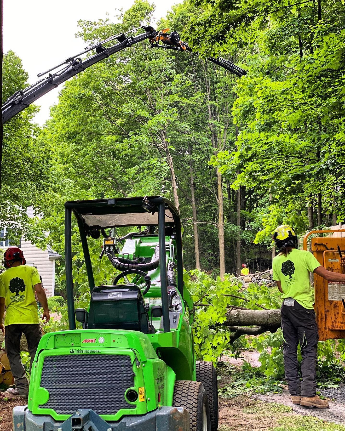 Two workers in neon-green shirts operate a green loader and crane to remove trees in a wooded residential area.