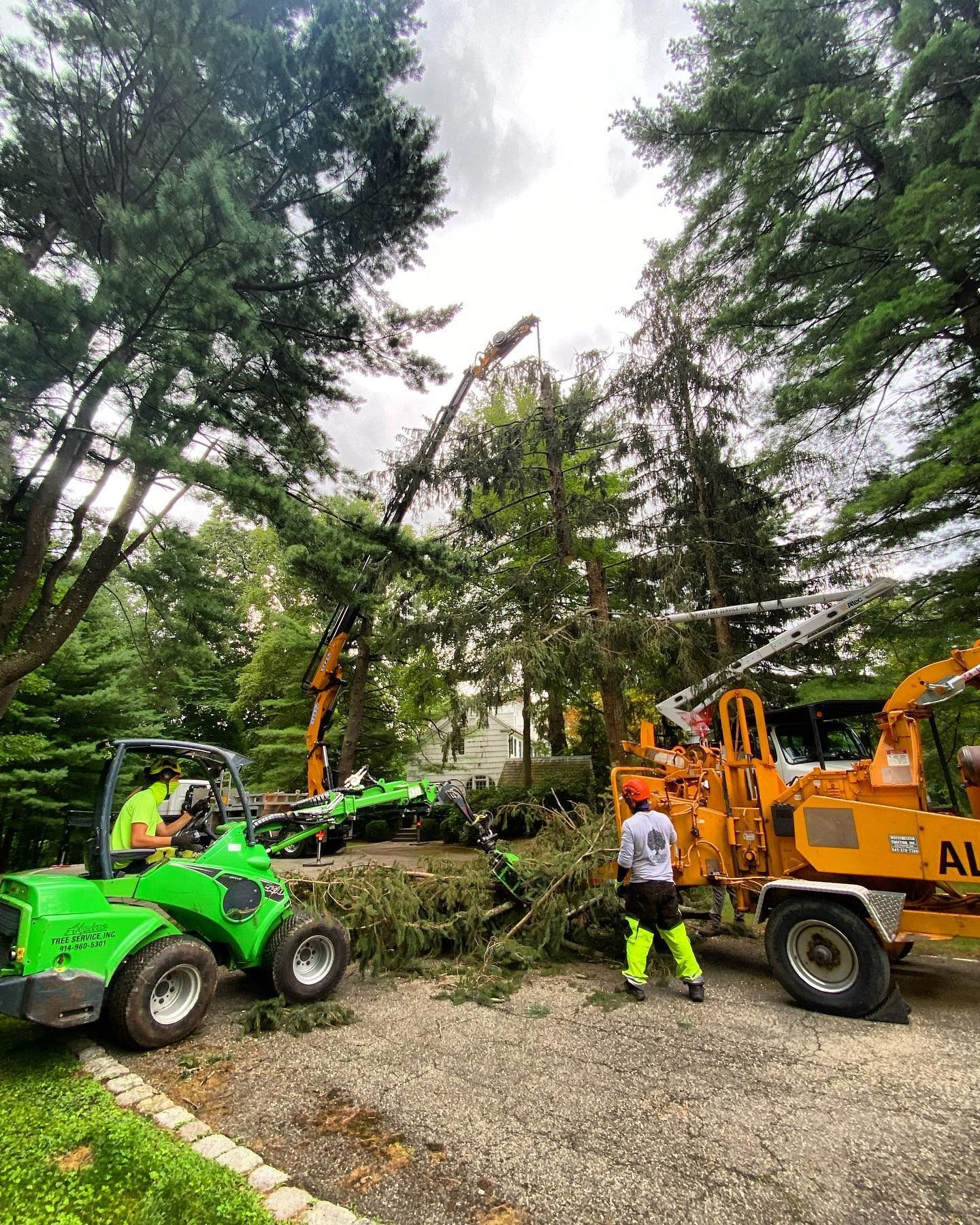 Tree service workers use a crane and wood chipper to clear downed branches and debris in a residential yard.