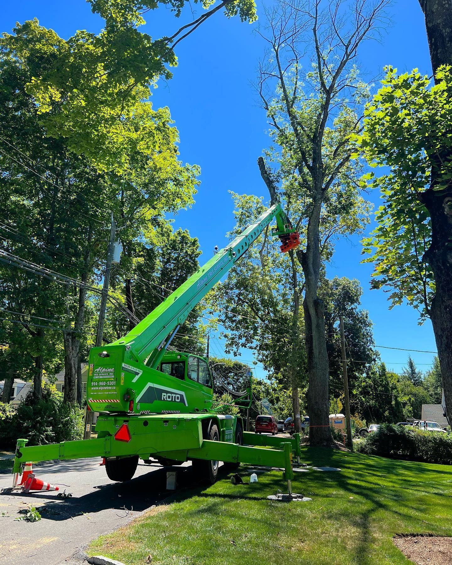A lime-green crane with a grappler attachment removes the top of a tall tree against a clear blue sky.
