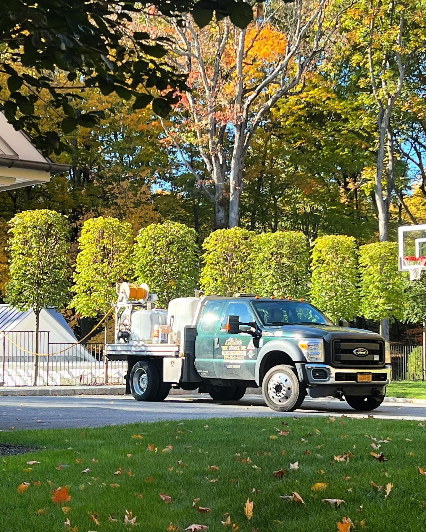 A green work truck with tanks parked on a residential driveway in front of a row of square-trimmed trees in autumn.