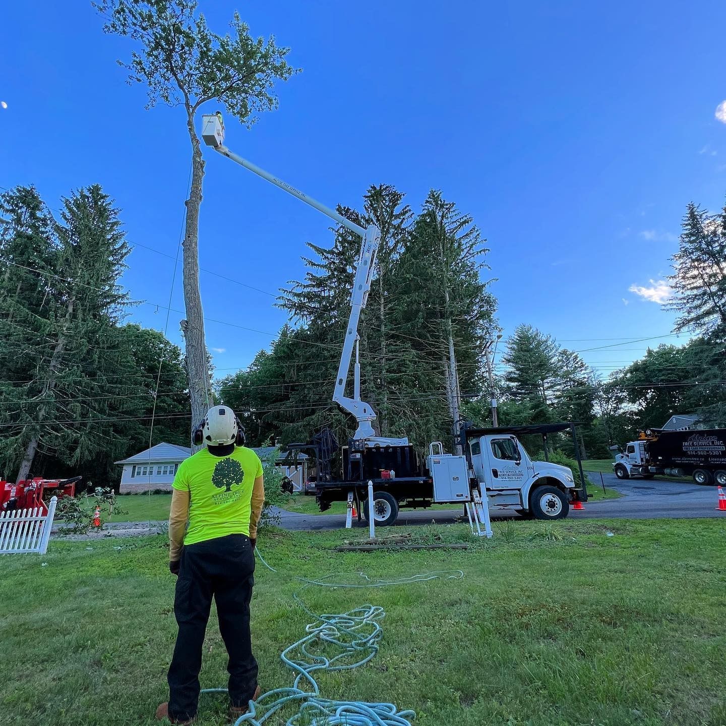 A tree service worker in a bright green shirt stands on grass, looking up at a worker in a bucket truck trimming a tree.