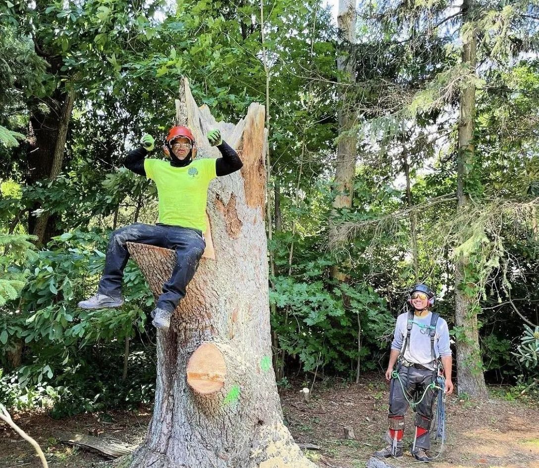 Two arborists, one sitting on a tree stump and one standing nearby, working in a wooded area wearing safety gear.