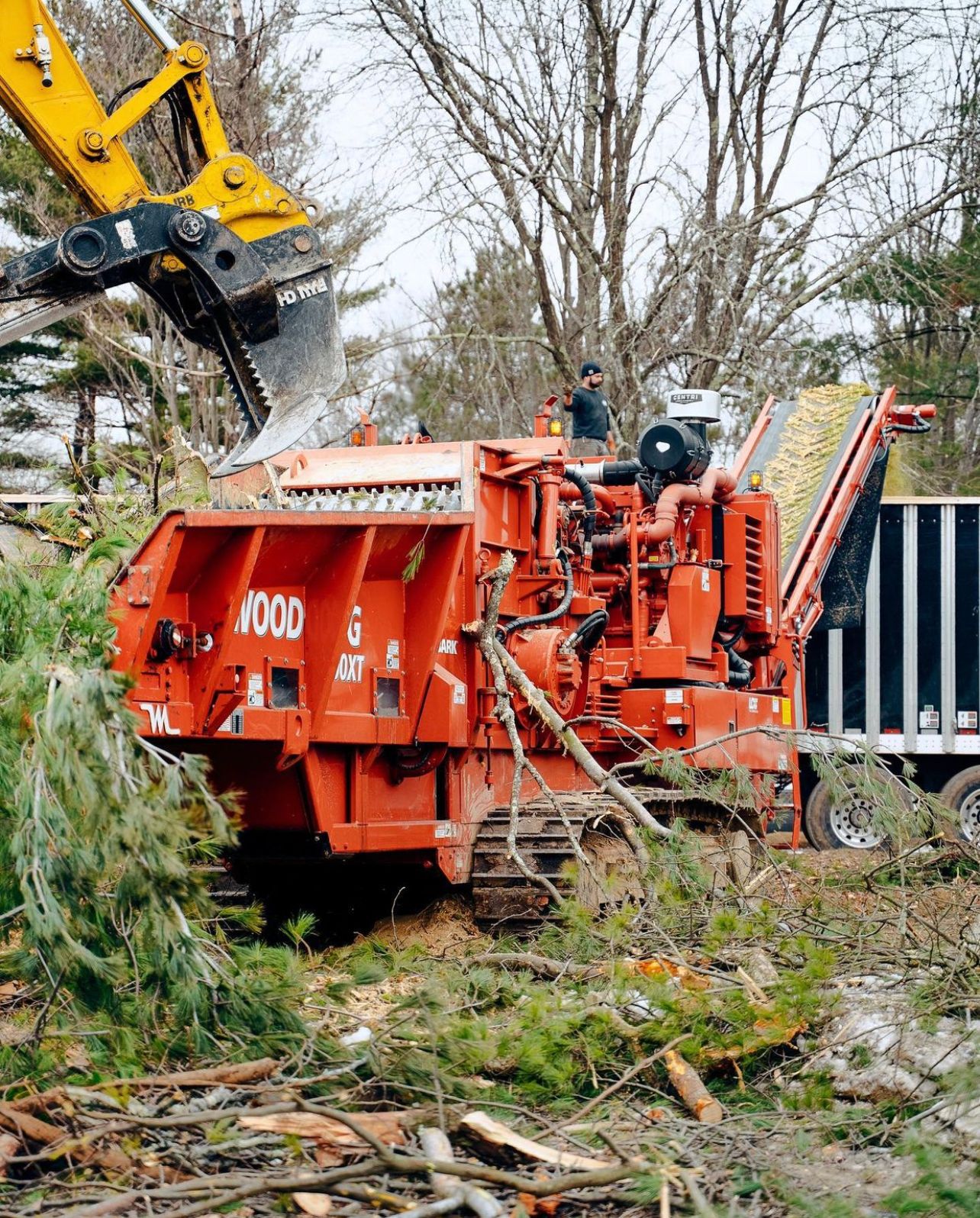 An orange wood chipper processes branches, with an excavator arm nearby and a trailer in the background.