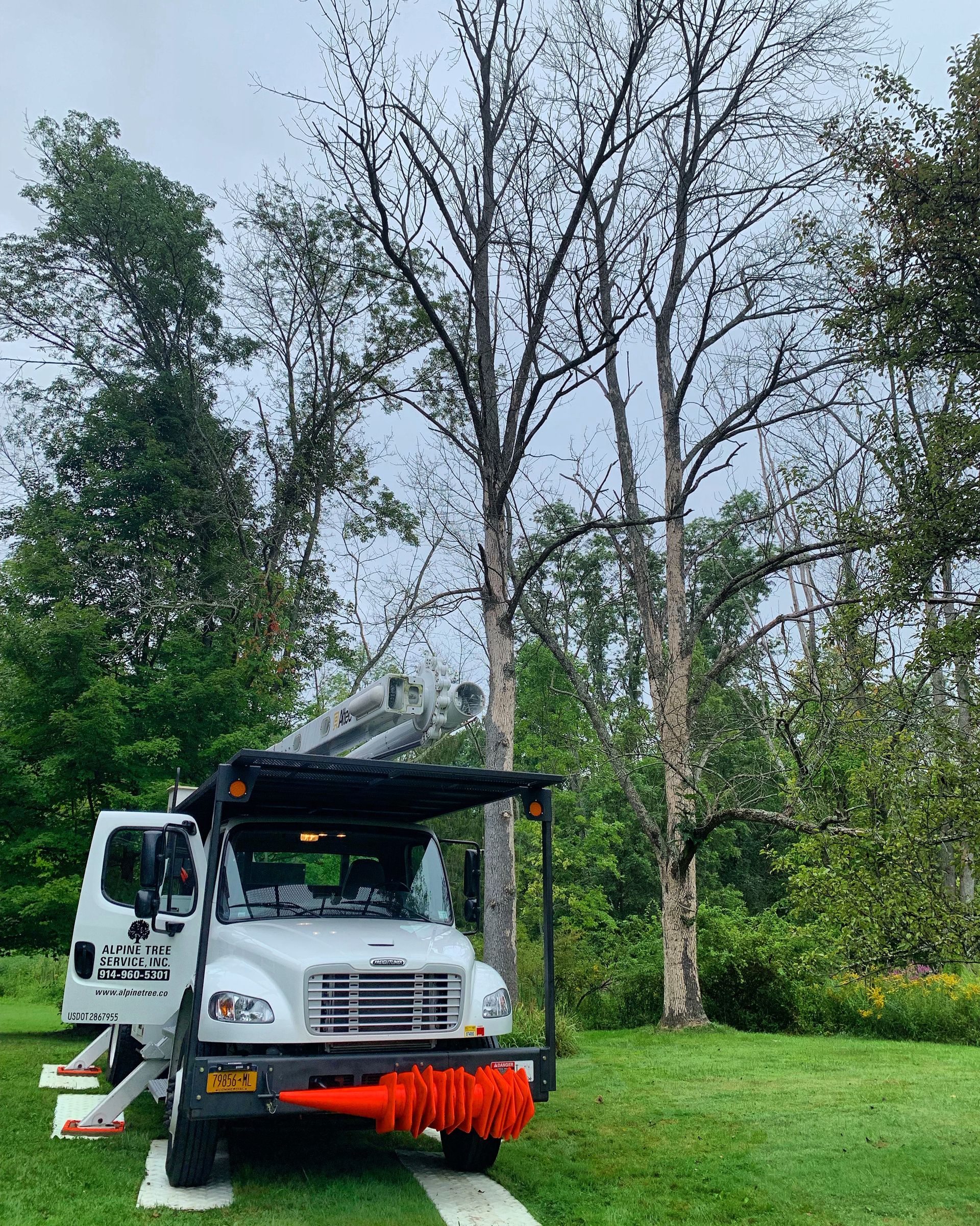 A white utility bucket truck is parked on grass with its outriggers extended near tall, thin trees.
