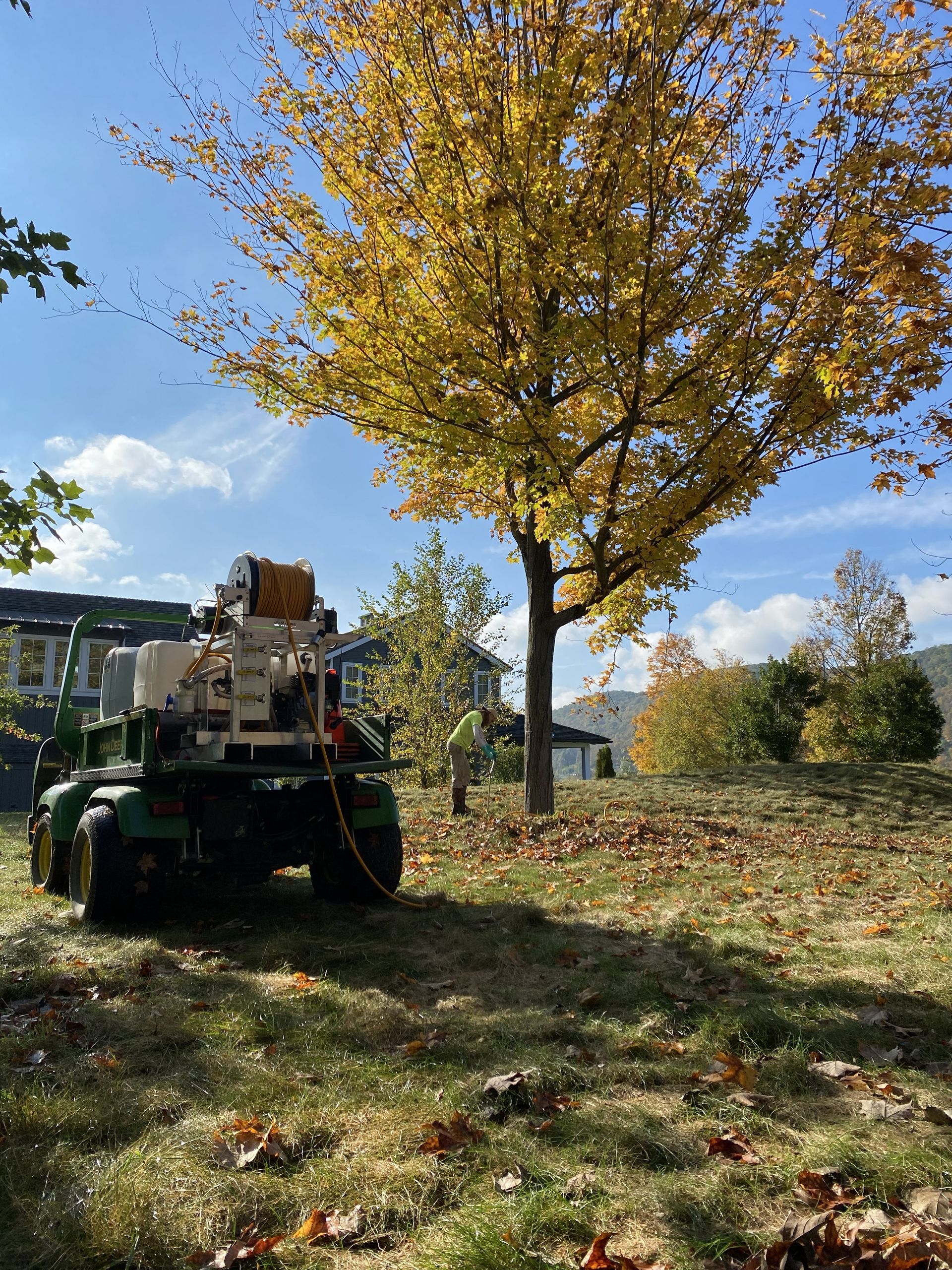 A green utility vehicle with a winch sits on a grassy hill next to a large tree with golden autumn leaves.