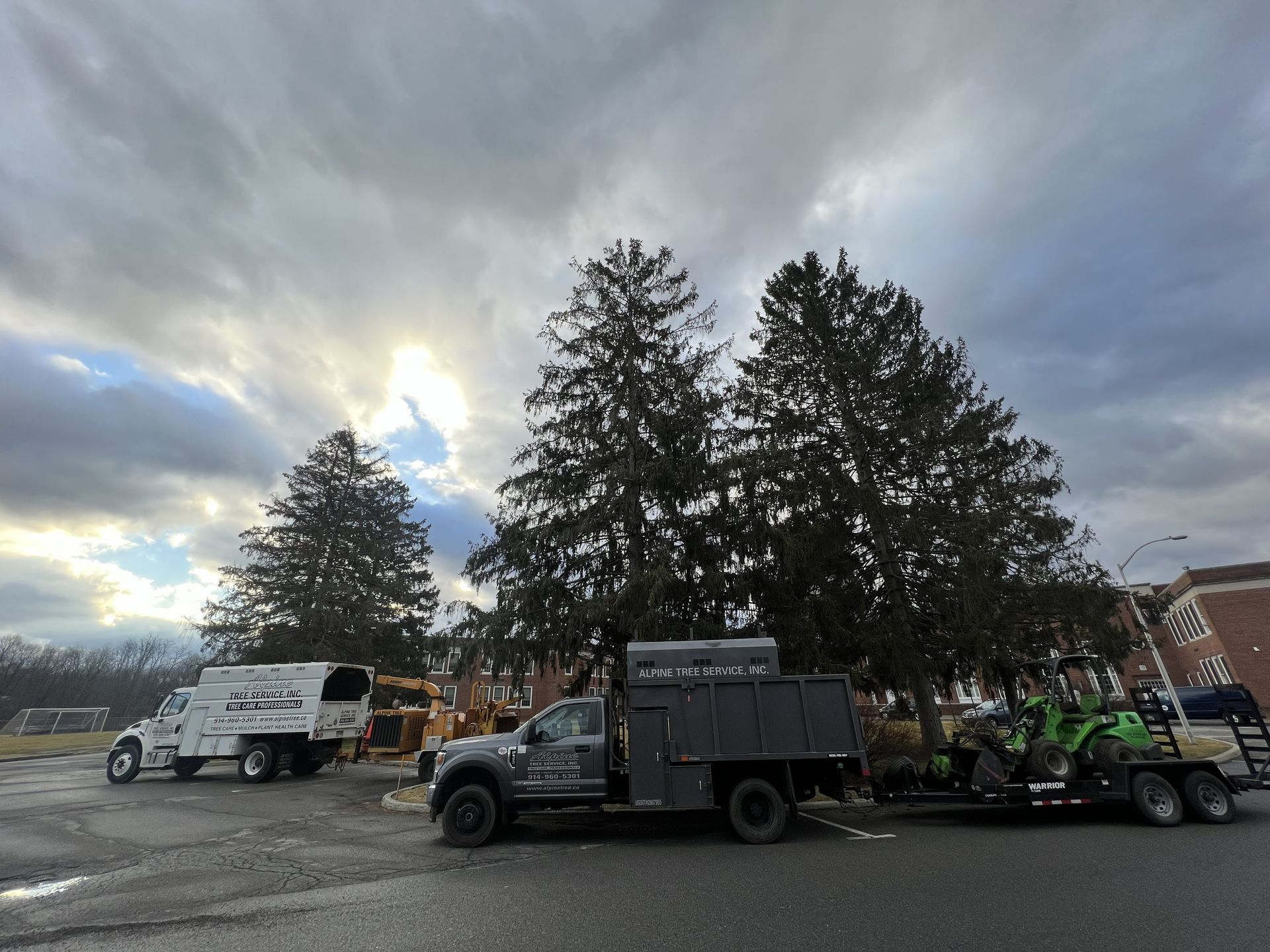 A white dump truck, a dark utility truck with a trailer, and a green machine parked in a lot before trees under a cloudy sky.