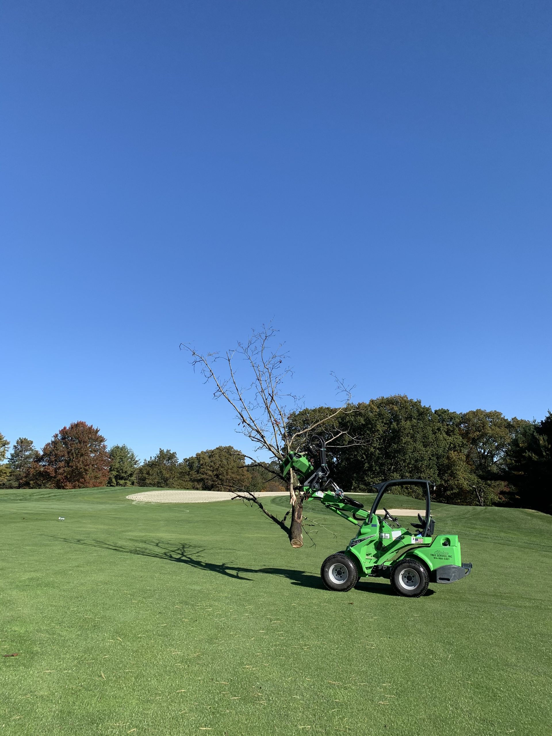 A bright green compact loader carries a small tree across a grassy golf course under a clear blue sky.