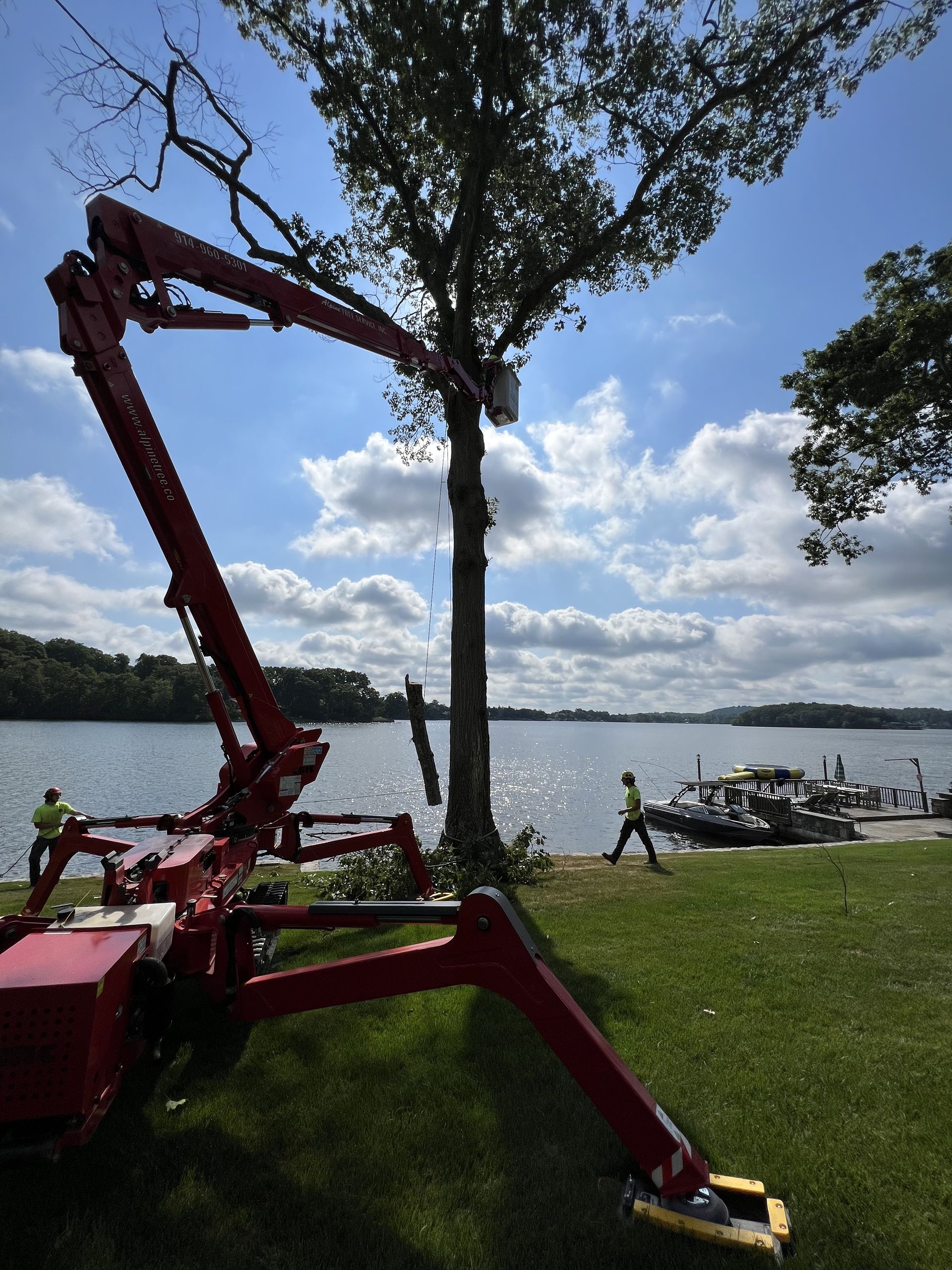A red hydraulic tree-trimming lift reaches toward a tree by a lake, with two workers nearby on the grass.