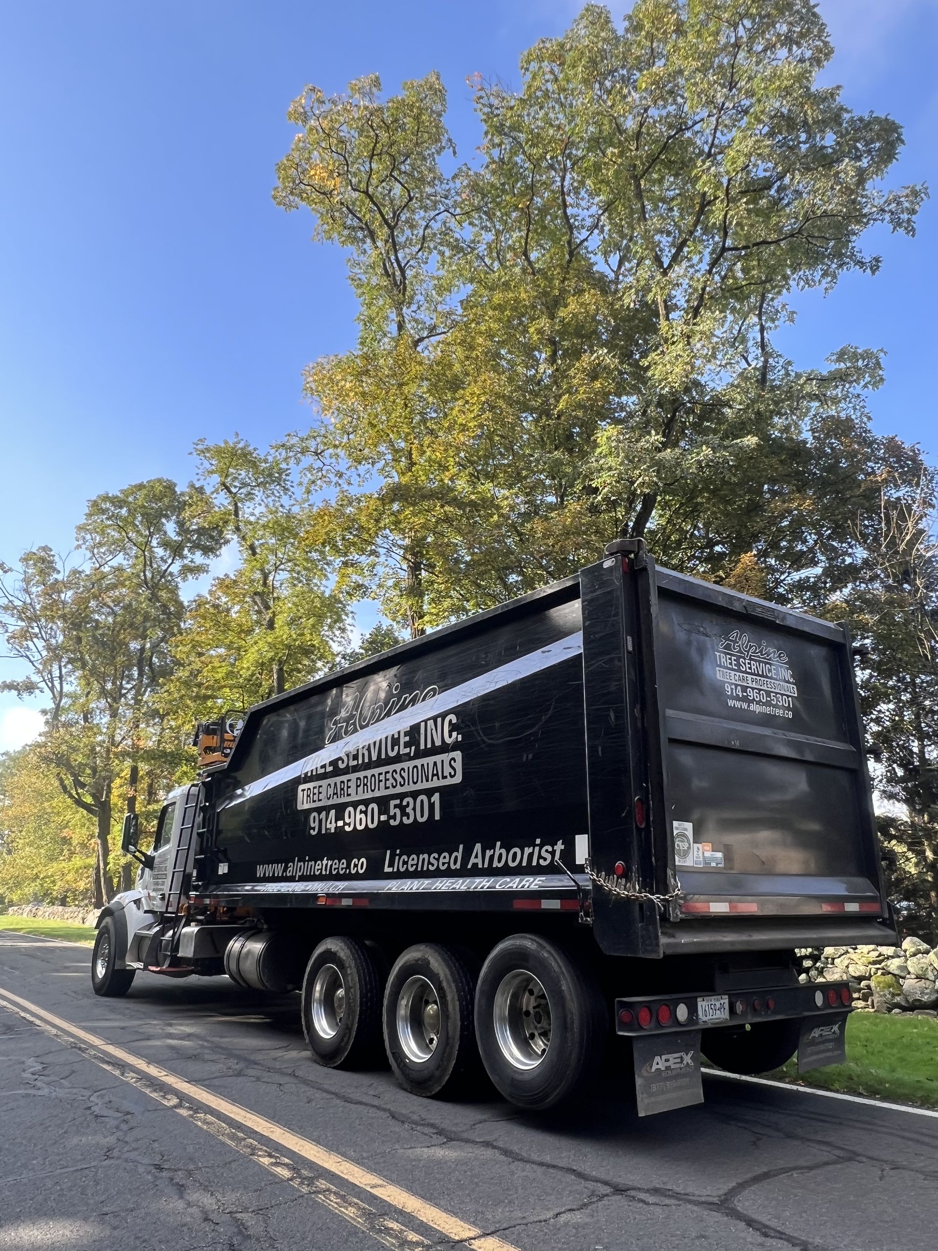A black dump truck parked on a road beside large, leafy trees on a clear, sunny day.