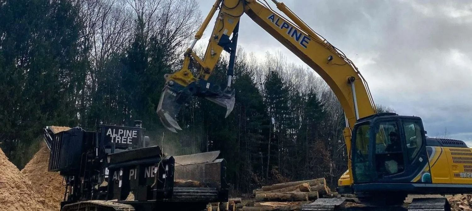 A yellow Alpine excavator uses a claw attachment to load timber into a wood processing machine outdoors.