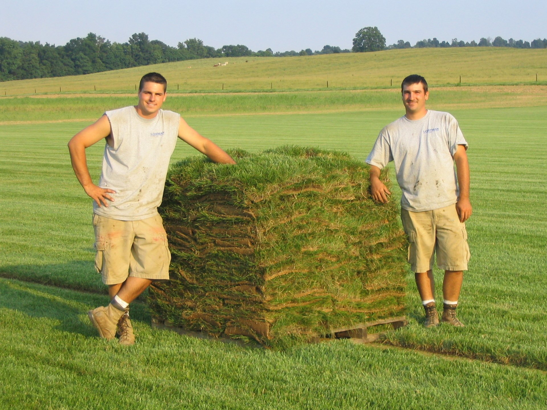 About Iron Bridge Sod Farms Bowling Green, KY Sod Delivery