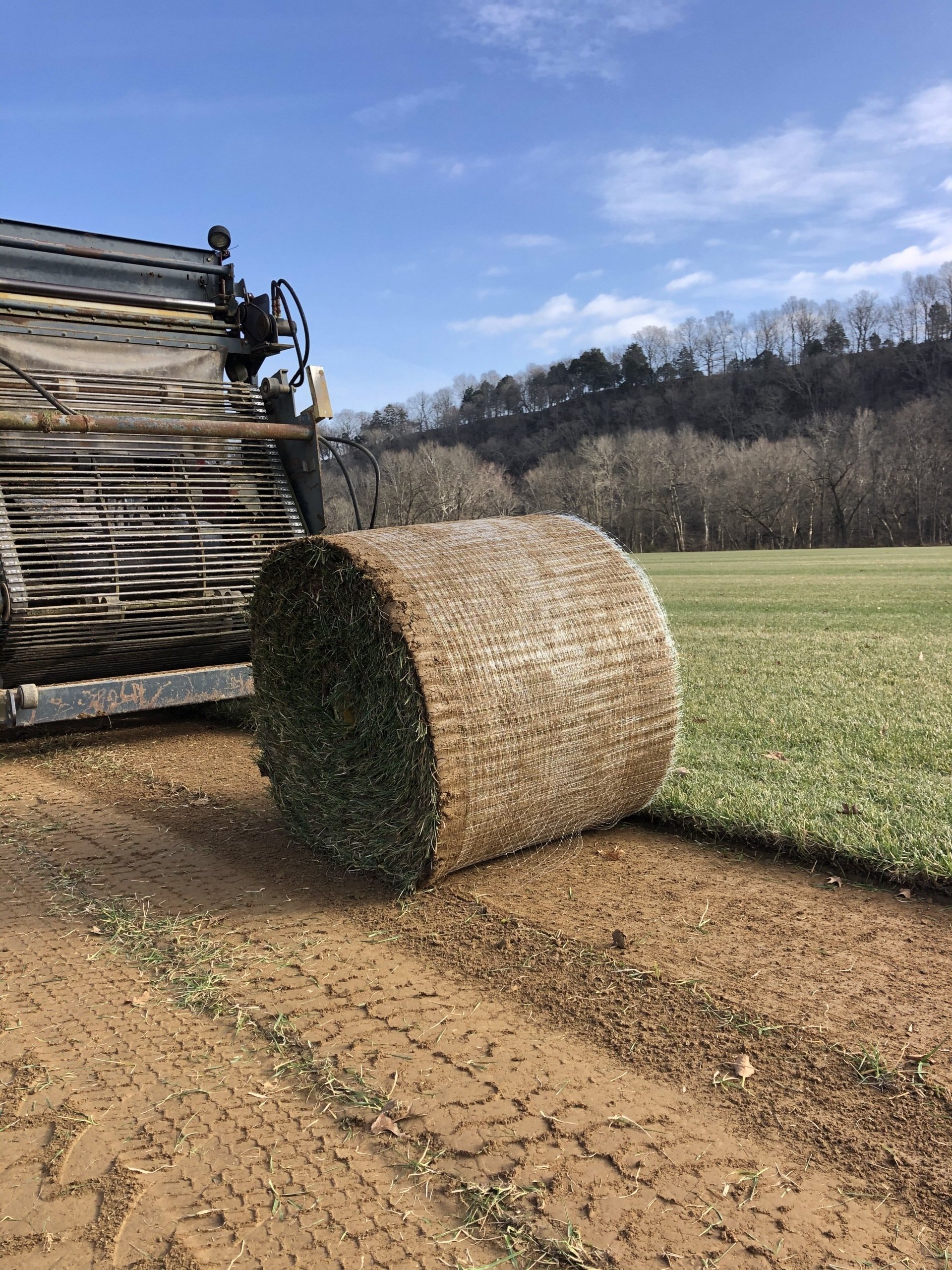 Sod Delivery Services Sod PickUp Bowling Green, KY