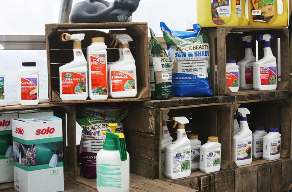 Greenhouse Williamsport, MD