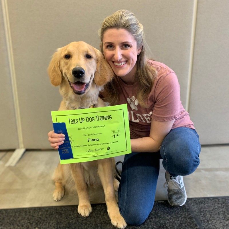 Dog Training in Eagan, MN | Tails Up Dog Training