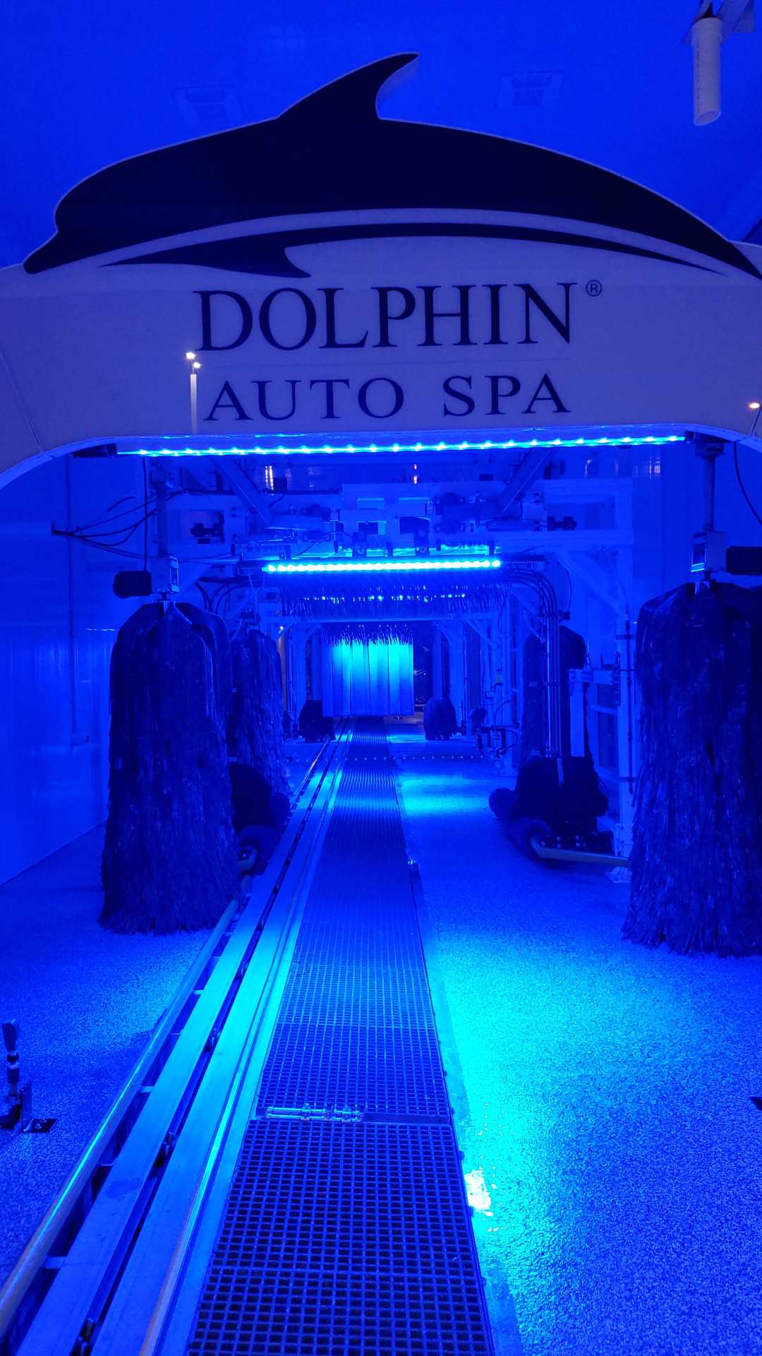 Express Car Wash Naples, FL Dolphin Auto Spa
