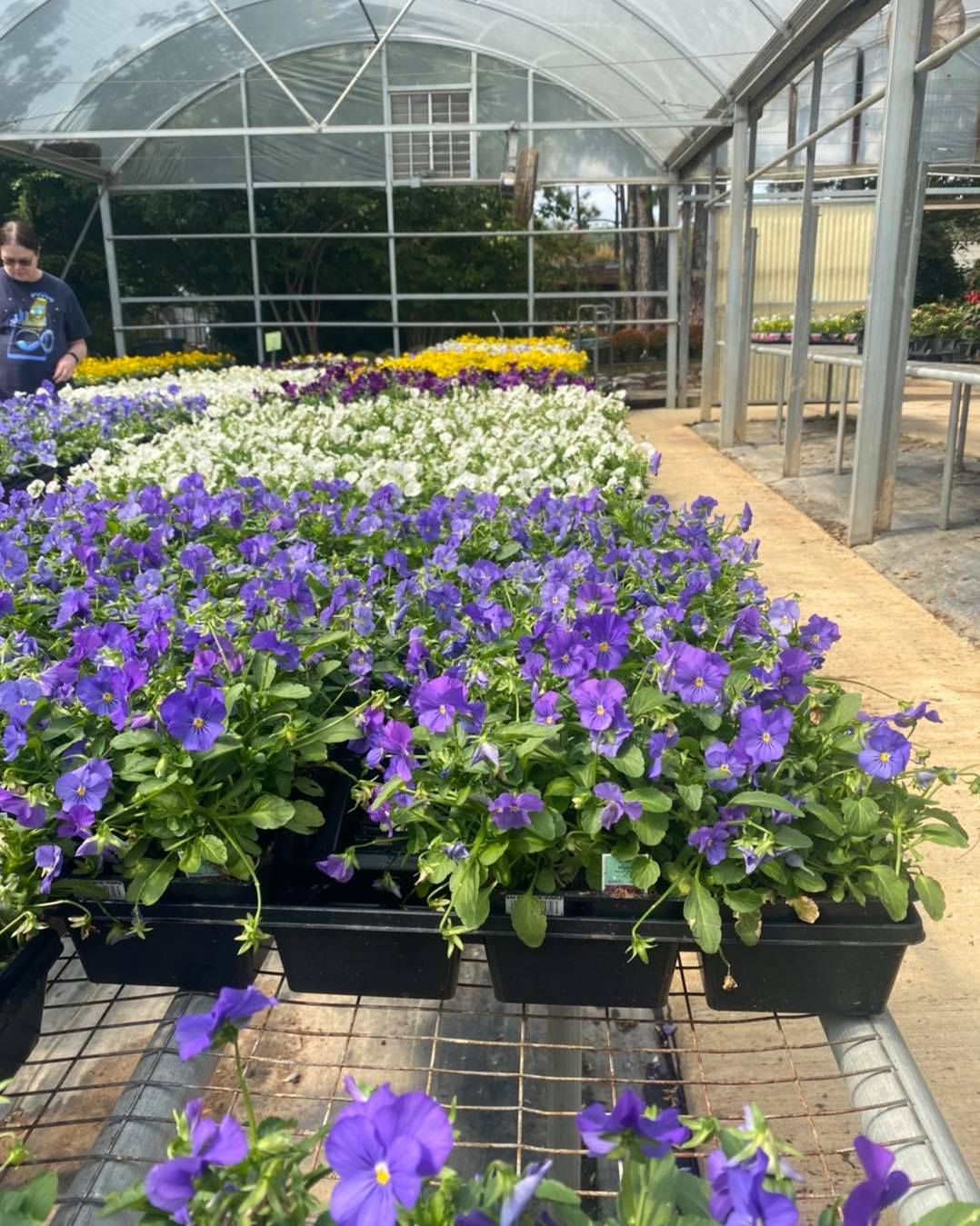 Stunning Bennett Nursery Huntsville Al Gallery