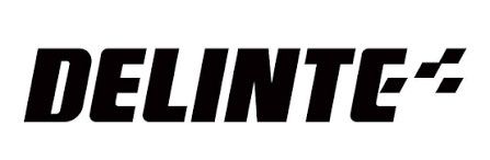 Black DELINTE logo with stylized text and a checkered flag mark