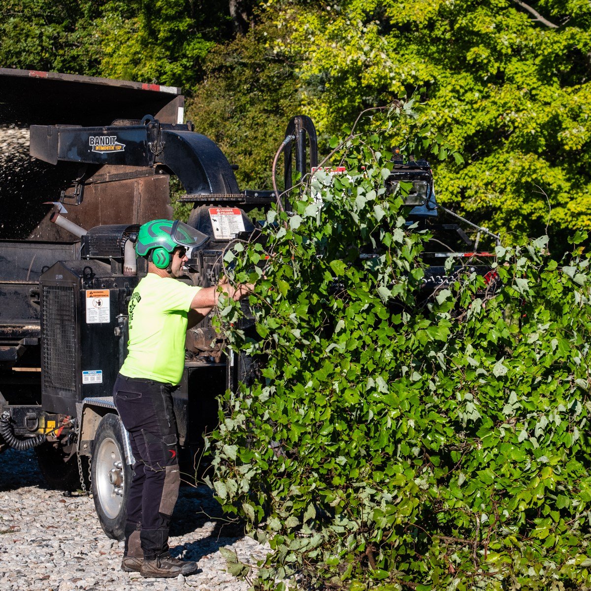 Lot Clearing Service Land Preparation WinstonSalem, NC