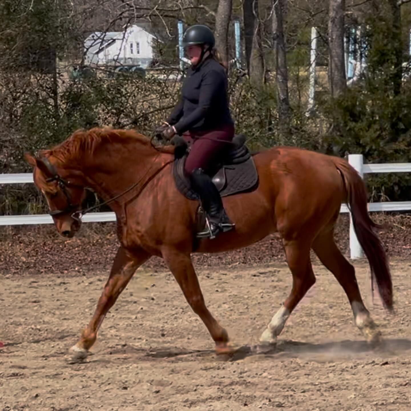 Terry Ridge Stables About | Star Ridge Stables