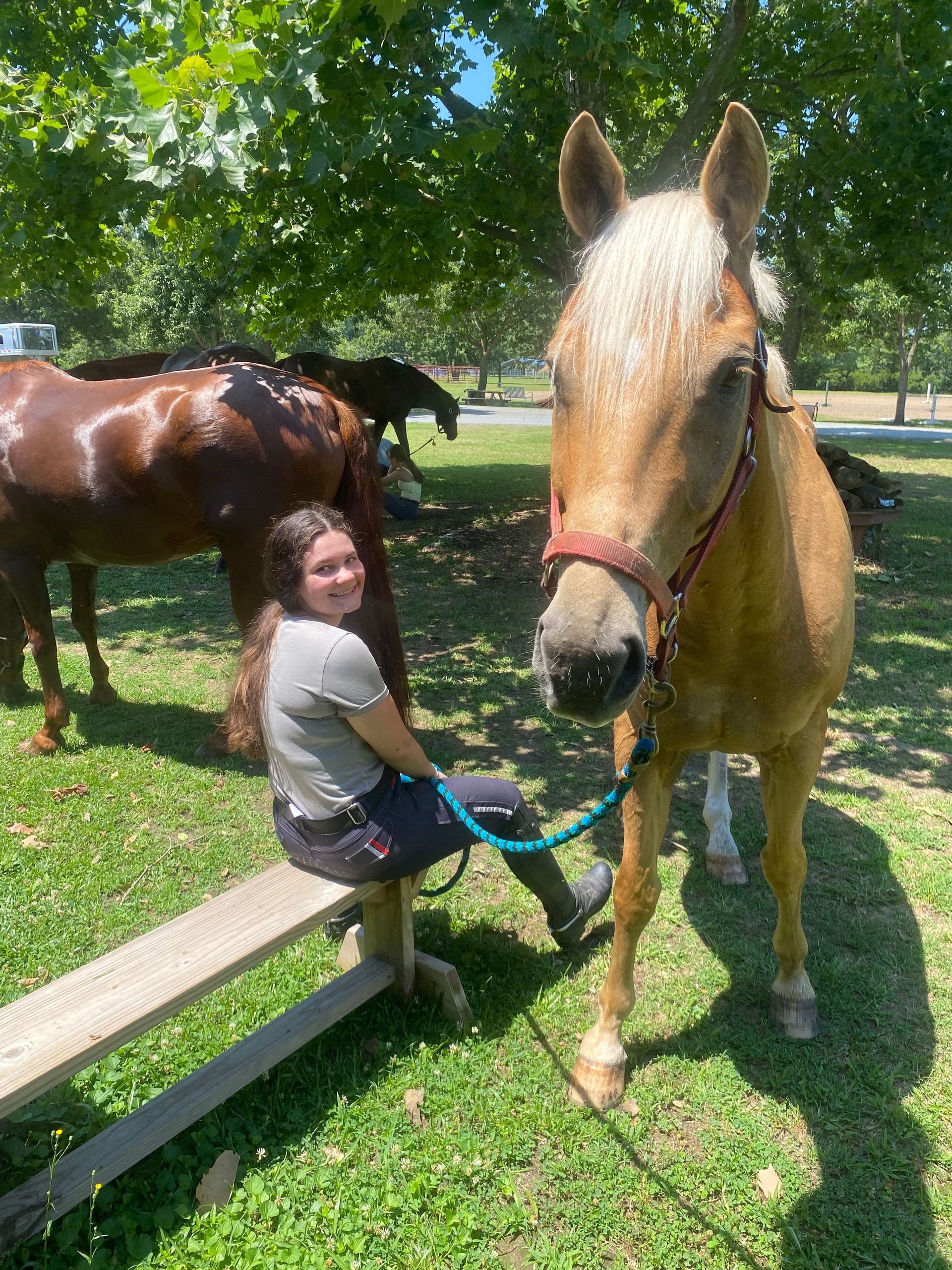 Terry Ridge Stables Horse Riding School | Selma, NC | Star Ridge Stables
