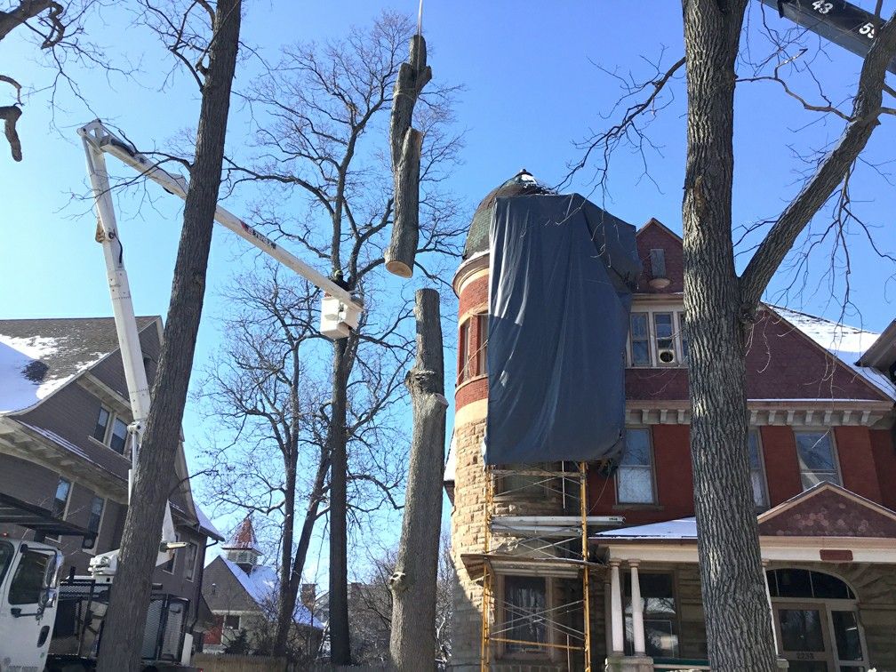 Tree Service Toledo, OH Sidonian Tree Service