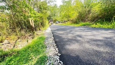 A paved asphalt road runs through a lush green forest, with a gravel shoulder separating the road from the grassy edge.