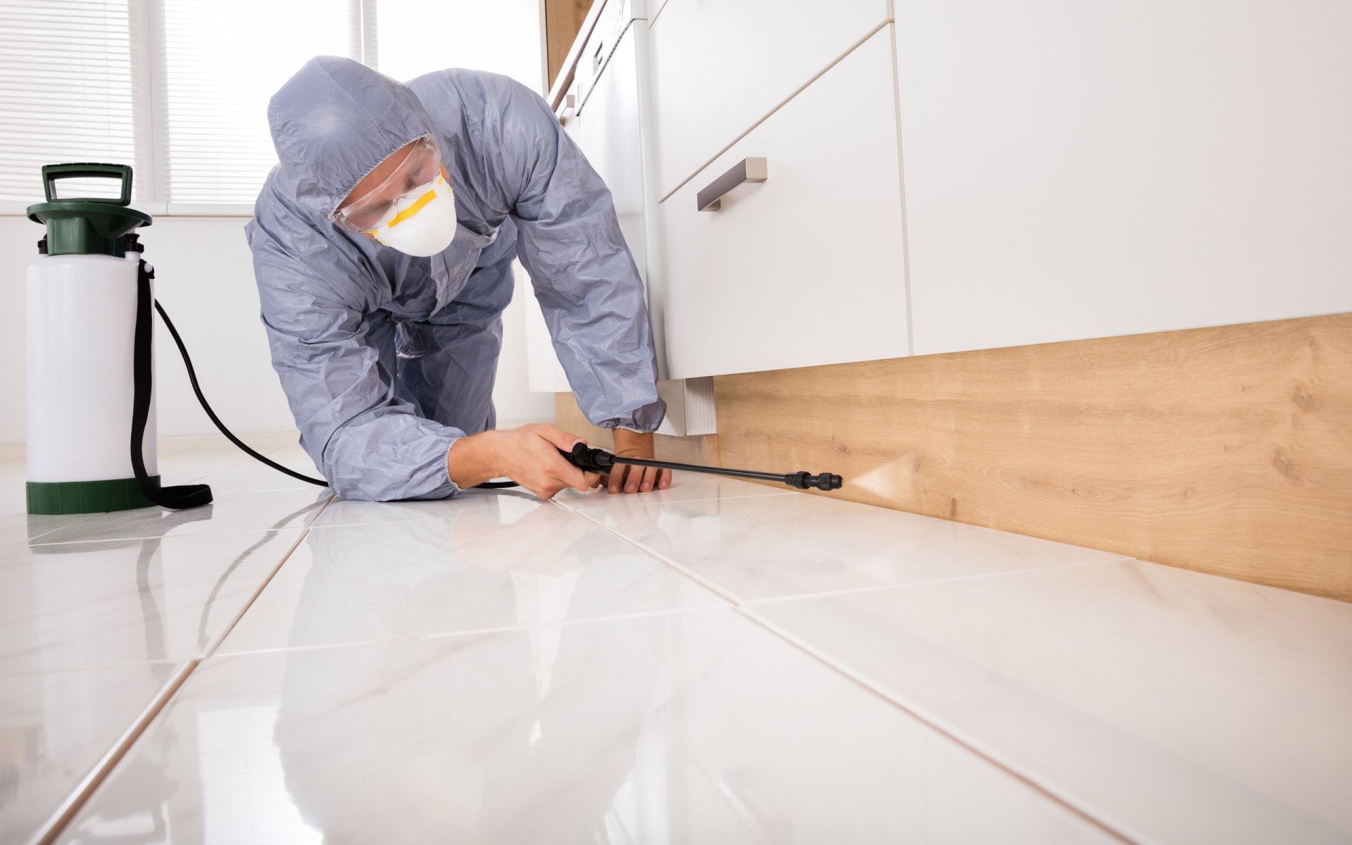 Pest Control Services Ft Myers, FL Reliable Pest Control