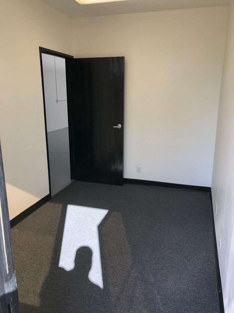 Empty office room with dark carpet, white walls, and a black door; light shines in.
