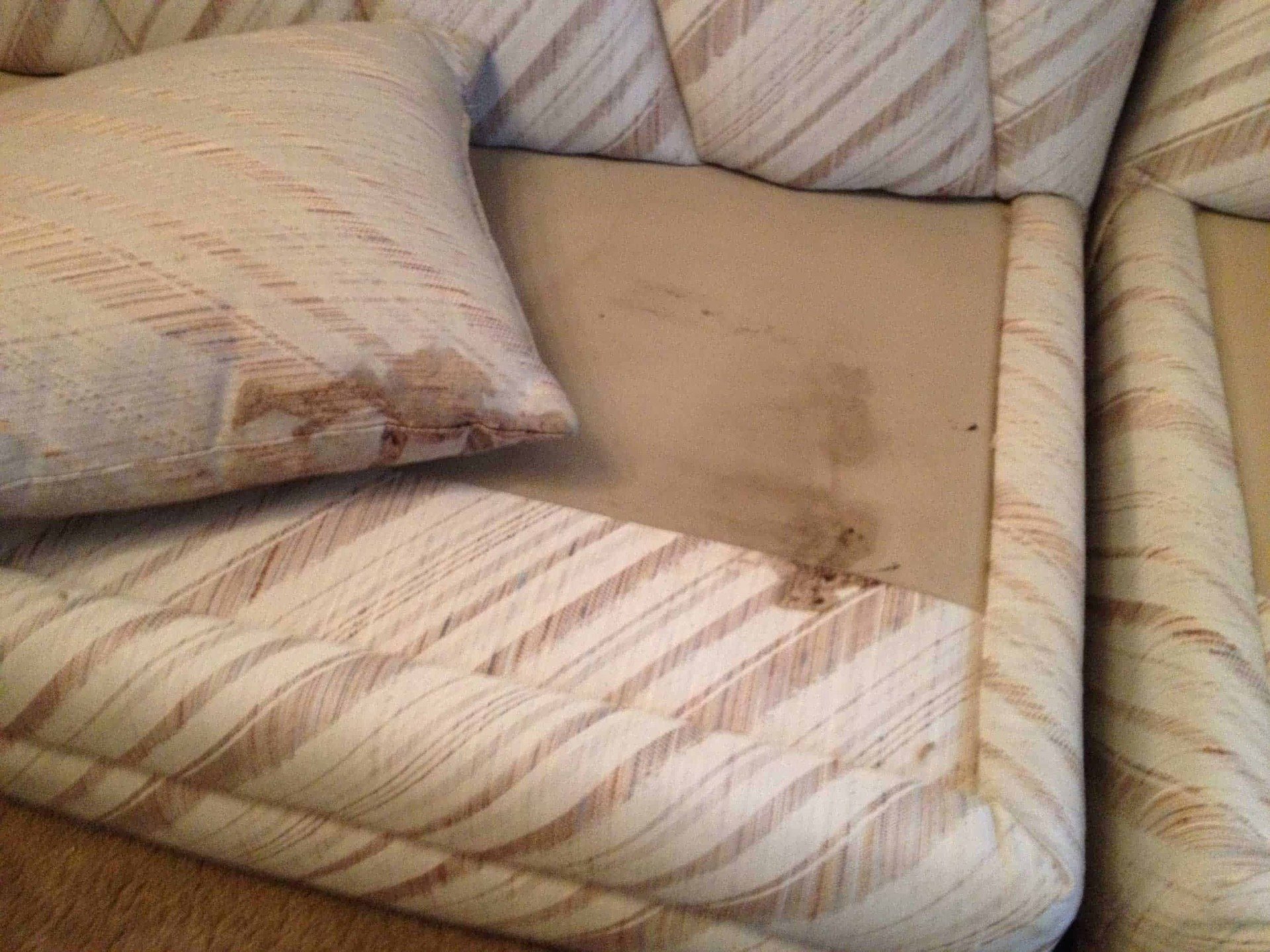 Classic Carpet and Upholstery Cleaning Upholstery Gallery