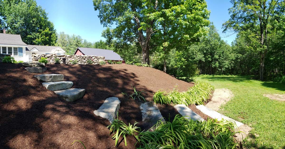 Stone steps lead up a mulch-covered hill, lined with green plants, toward a house and trees on a sunny day.