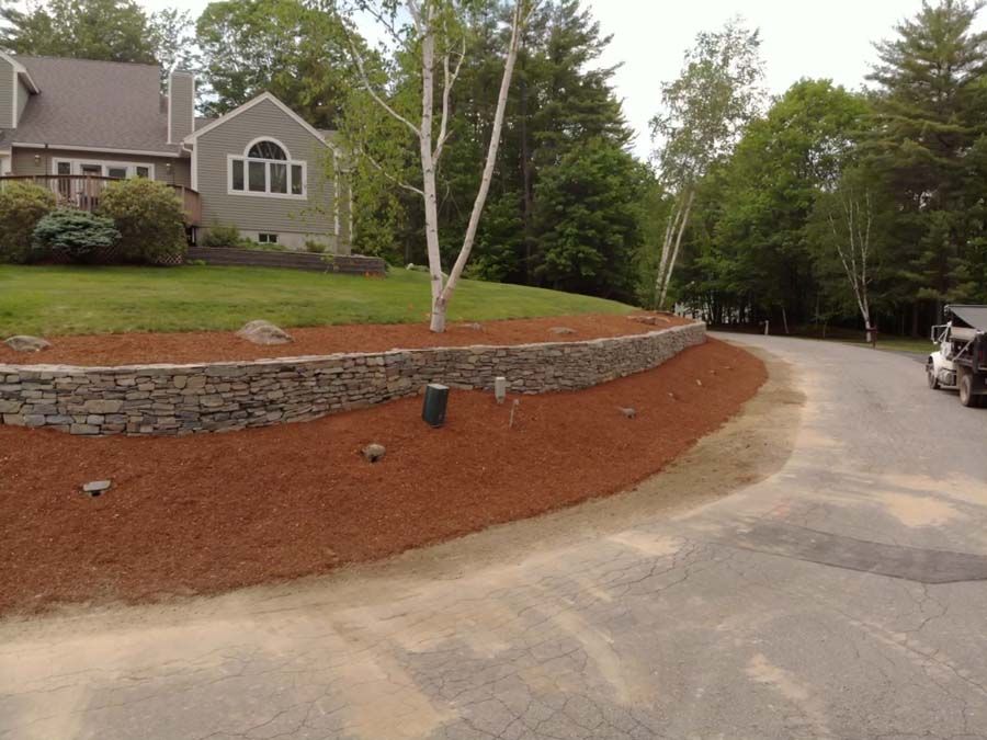 A stone wall borders a landscaped area with red mulch and a birch tree, beside a gravel driveway leading to a house.